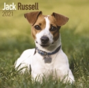 Image for Jack Russell 2021 Wall Calendar