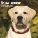 Image for Yellow Labrador Retriever 2021 Wall Calendar