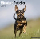 Image for Miniature Pinscher 2021 Wall Calendar