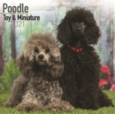Image for Poodle Toy &amp; Miniature 2021