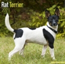 Image for Rat Terrier 2021 Wall Calendar