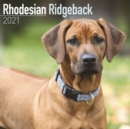 Image for Rhodesian Ridgeback 2021 Wall Calendar