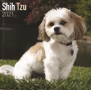 Image for Shih Tzu 2021 Wall Calendar