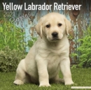 Image for Yellow Labrador Retriever Puppies 2021 Wall Calendar