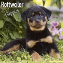 Image for Rottweiler Puppies 2021 Wall Calendar