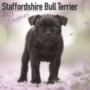 Image for Staffordshire Bull Terrier Puppies 2021 Wall Calendar