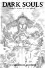 Image for Dark Souls Vol. 1: The Breath of Andolus Artist&#39;s Edition