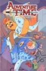 Image for Adventure Time Volume 13