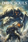 Image for Dark Souls Cover Collection