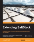 Image for Extending SaltStack