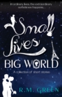 Image for Small lives, big world  : a collection of short stories from near and far