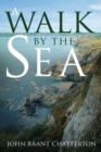Image for A walk by the sea  : a journey into the new millennium
