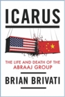 Image for Icarus : The Life and Death of the Abraaj Group