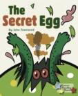 Image for The Secret Egg.
