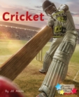 Image for Cricket.