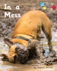 Image for In a Mess