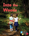 Image for Into the woods