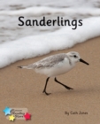 Image for Sanderlings : Phonics Phase 4