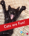 Image for Cats are Fun! : Phonics Phase 4