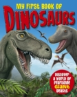 Image for My First Book of Dinosaurs