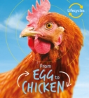 Image for From egg to chicken