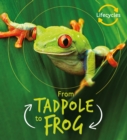 Image for Lifecycles: Tadpole to Frog