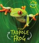 Image for From tadpole to frog