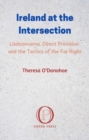 Image for Ireland at the intersection  : Lisdoonvarna, Direct Provision and the tactics of the far right
