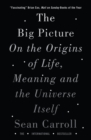 Image for The big picture  : on the origins of life, meaning and the universe itself