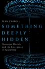 Image for Something Deeply Hidden: Quantum Worlds and the Emergence of Spacetime