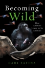 Image for Becoming wild  : how animals learn to be animals
