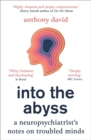 Image for Into the abyss  : a neuropsychiatrist&#39;s notes on troubled minds