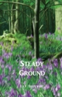 Image for Steady Ground