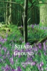 Image for Steady Ground