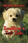 Image for Xcalliber&#39;s Tale