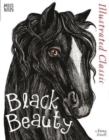 Image for Illustrated Classic: Black Beauty