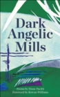 Image for Dark Angelic Mills: Poems by Diane Pacitti