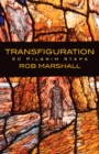 Image for Transfiguration  : 50 pilgrim steps