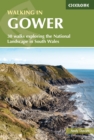 Image for Walking in Gower