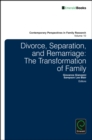 Image for Divorce, separation, and remarriage  : the transformation of family