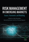 Image for Risk management in emerging markets: issues, framework, and modeling