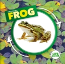 Image for Life Cycle of a Frog