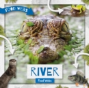 Image for River Food Webs