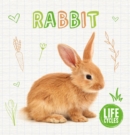 Image for Rabbit
