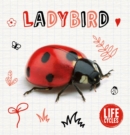 Image for Ladybird