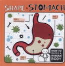 Image for Shape a Stomach