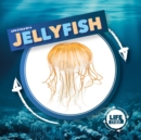 Image for Life cycle of a jellyfish