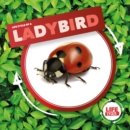 Image for Life cycle of a ladybird