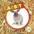 Image for Life cycle of a rabbit