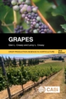 Image for Grapes : 27 [or 29?]